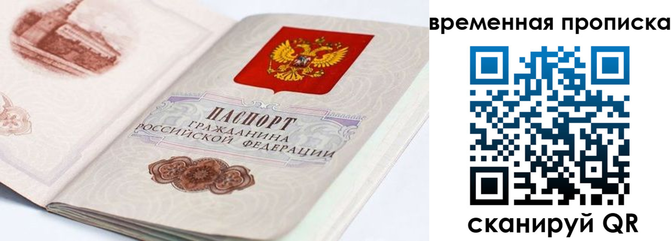 прописка 2025 в Воронежской области